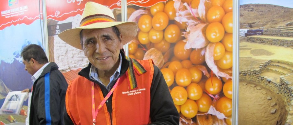 mercado aguaymanto