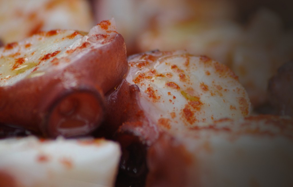 20130725-FOTO-5J-BLOG-PULPO-A-FERIA-GALICIA