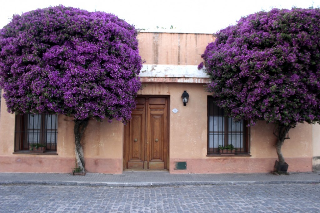 casa colonia