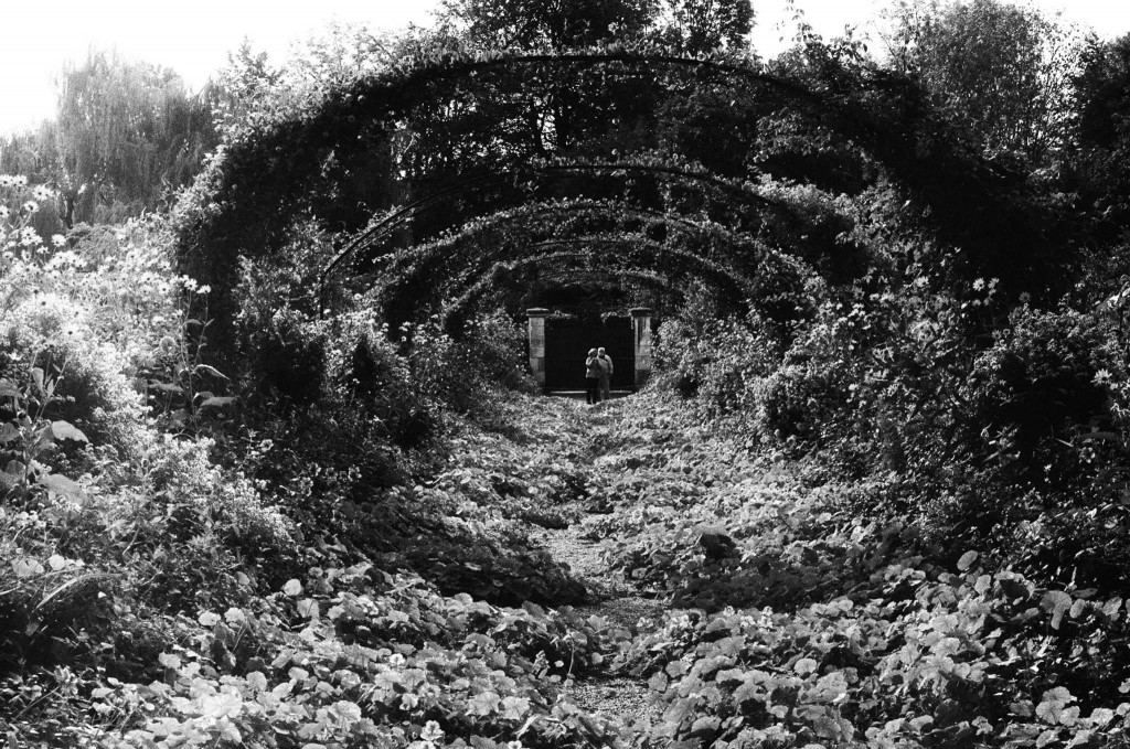 1782579_10151925575277187_1072648461_o (1)