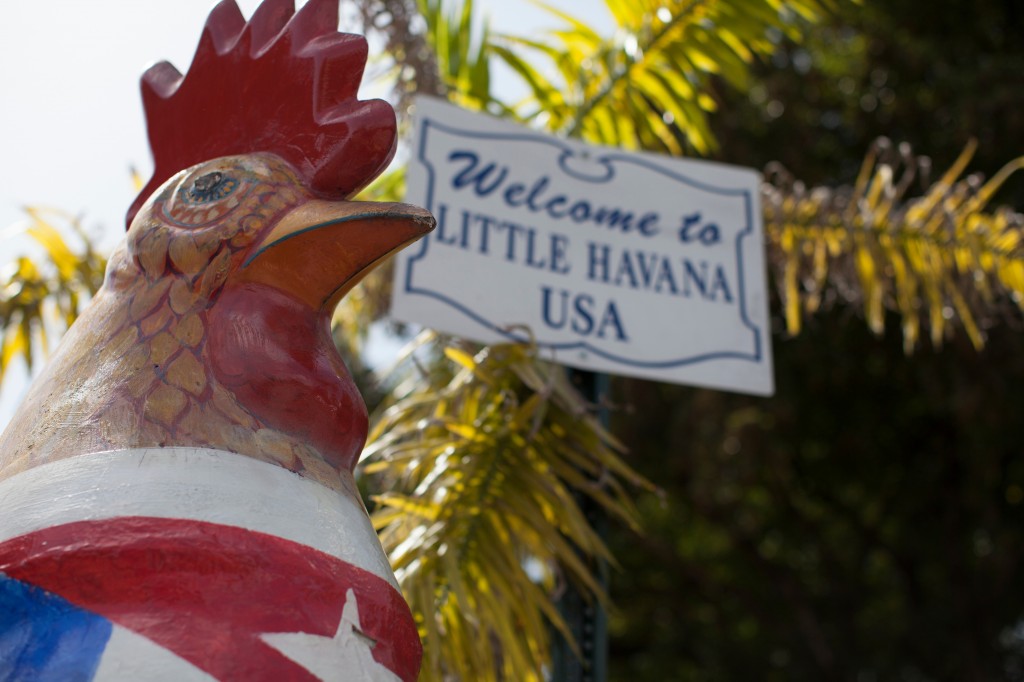 Little-Havana-El-Pub-Restaurant-Rooster-3-CU