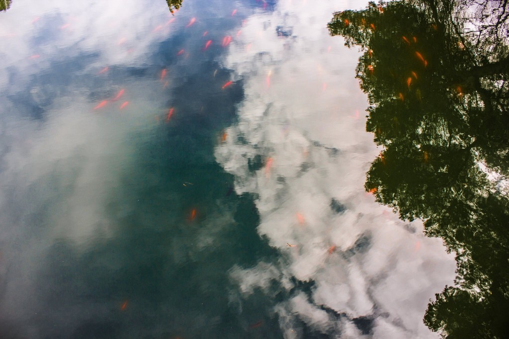 11023352_10154154074518532_1829118585_o