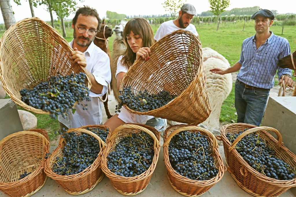 ernesto catena y belen ch