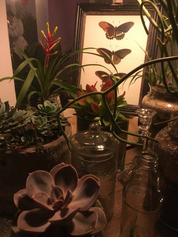 14331755_1284267834941214_1964884667_n