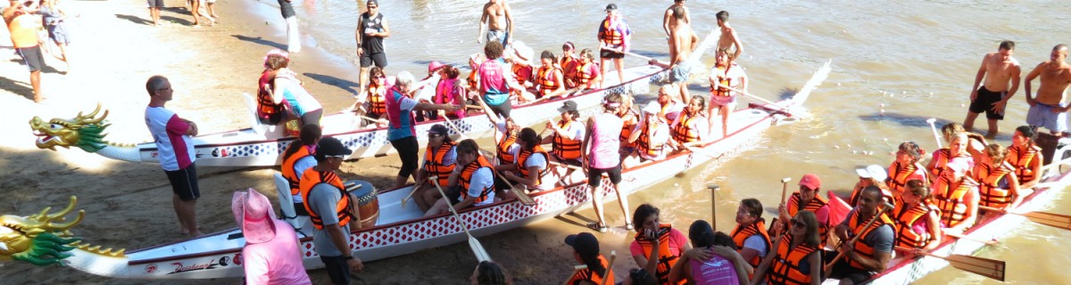 954f1455-8ab9-418b-bda3-6c97bfdfae64