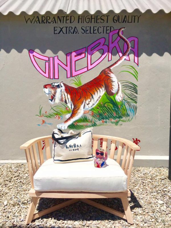 15319307_1420768931296818_6865998664449308054_n