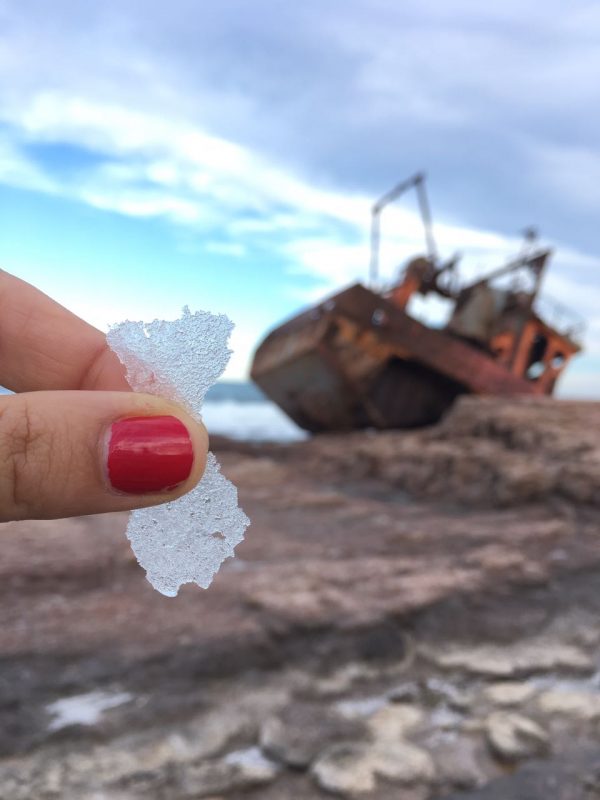 WhatsApp Image 2017-02-14 at 17.16.17