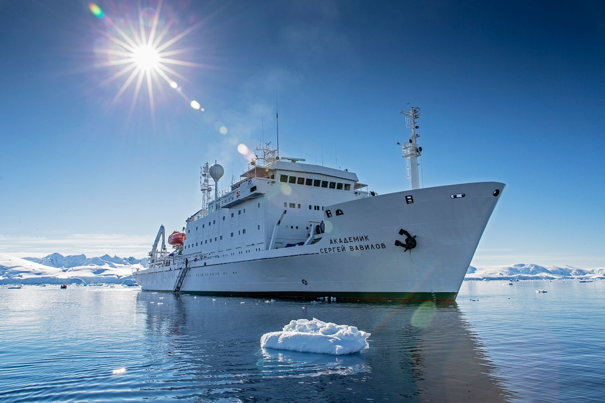 Vavilov Ship - Cortesía Antarctic Biennale (2)