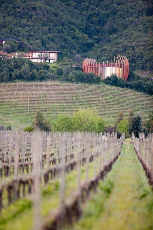 13767382_10153598891566536_1120436712762938338_o