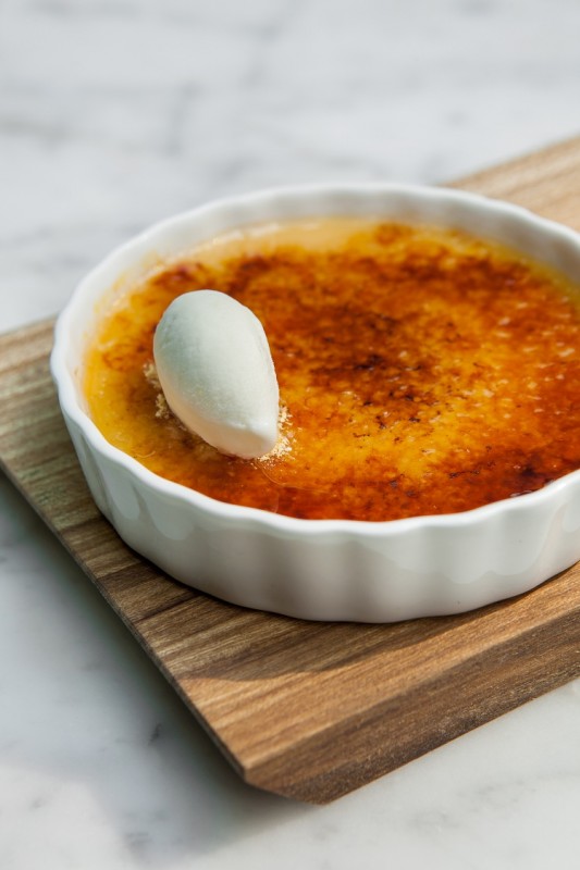 Creme Brulee - Casa Cavia 2 - baja