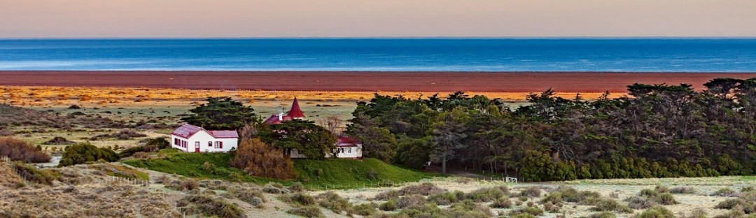 DESTACADA 1