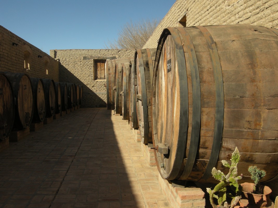 el porvenir cafayate
