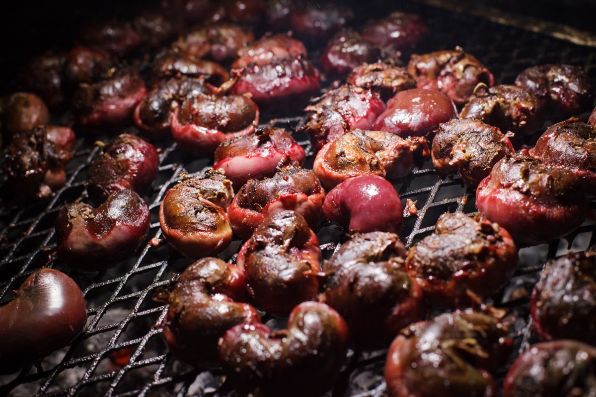 NERCA Foto Rodrigo Ruiz Ciancia-IMG_5279-20170826