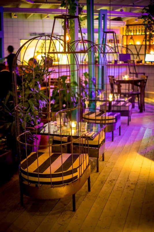 19420658_1689344151373379_4185863501747835968_n