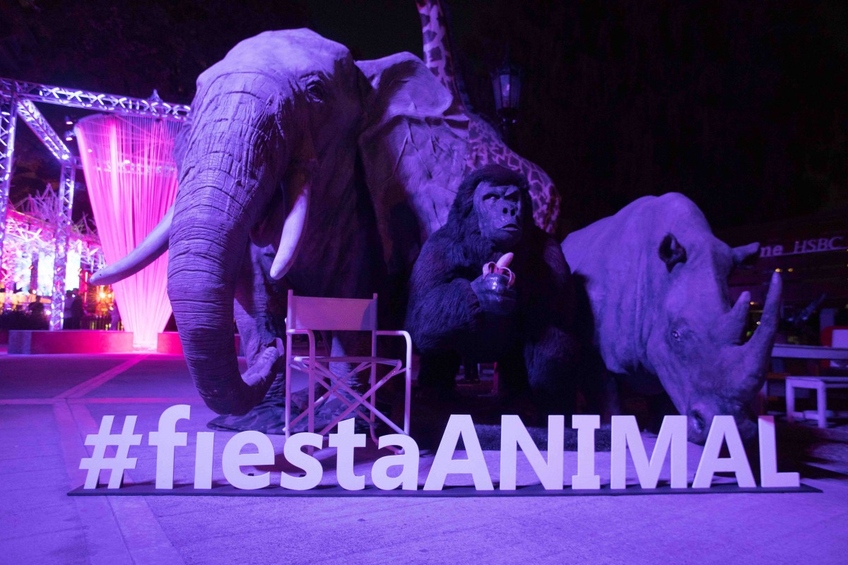 ZZ FIESTA ANIMAL 07