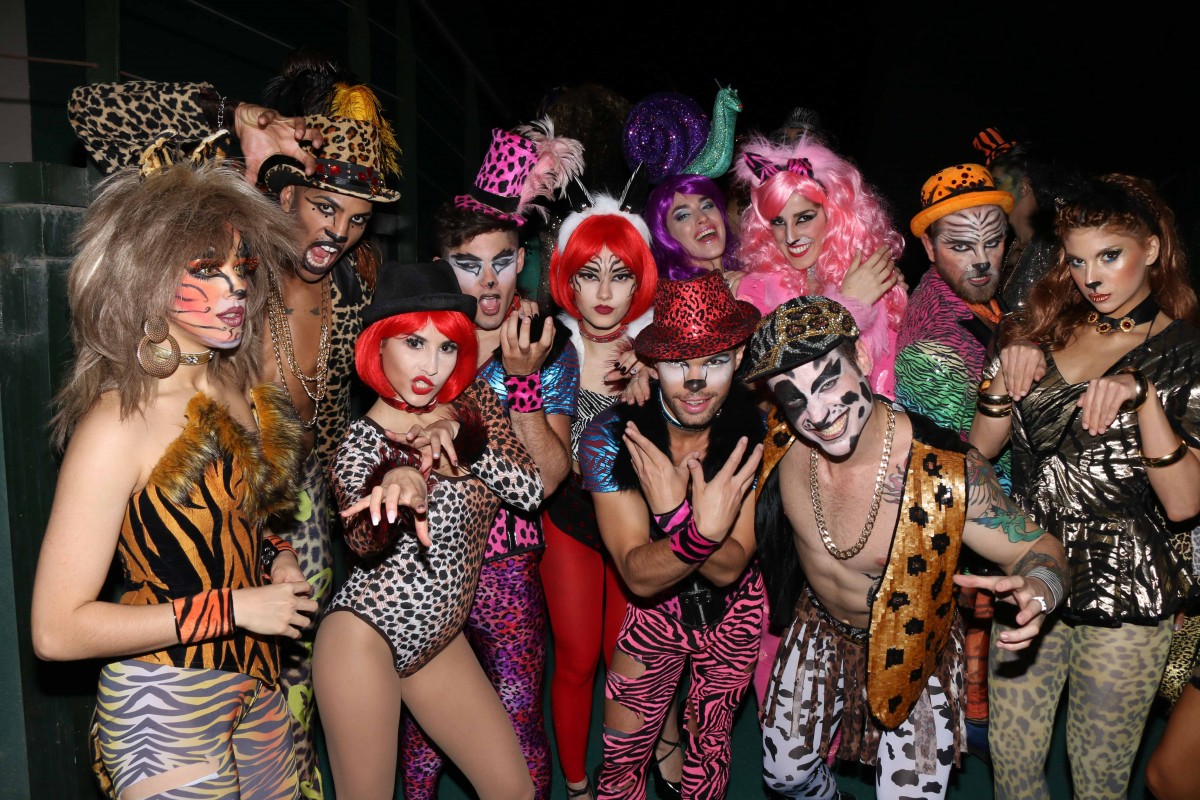 ZZ FIESTA ANIMAL 20
