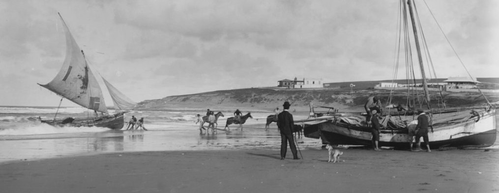 mar del plata