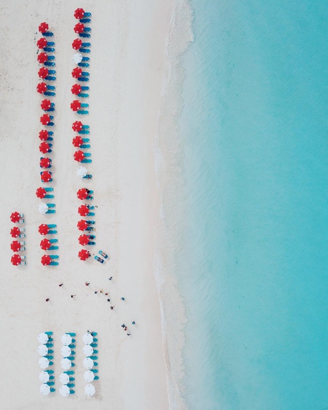 22858117_141466036476758_8813312430860926976_n