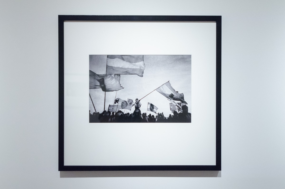 Sara Facio_Vista de Sala_PH Guyot_Mendoza_Orti_04