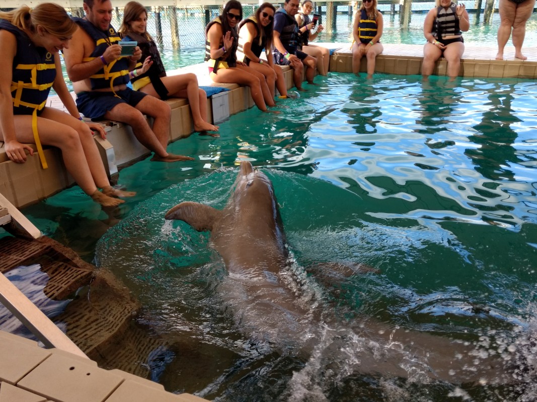 IMG_20180323_104648026_BURST000_COVER_TOP