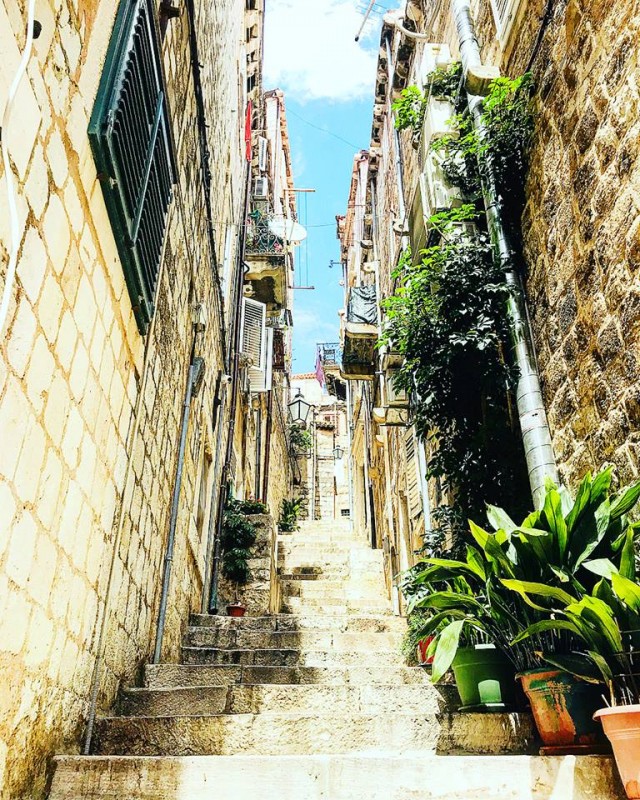 36929278_10156537514214525_3755544679504936960_n