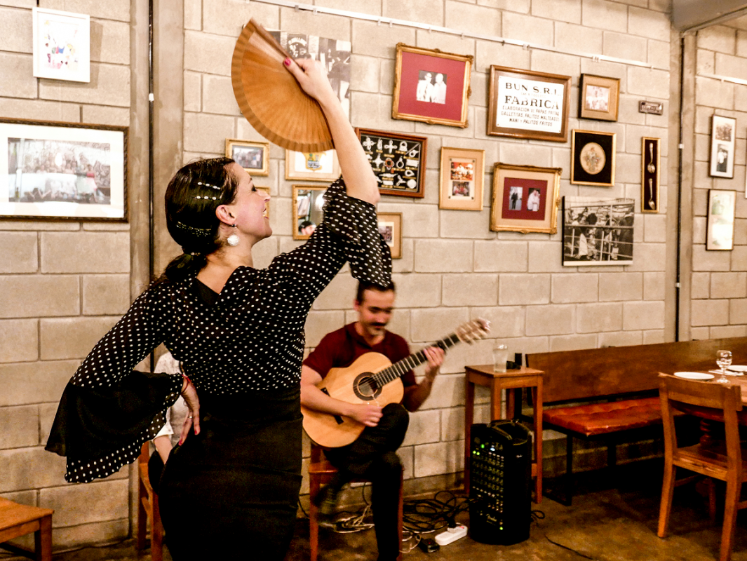 Flamenco Lekeitio web