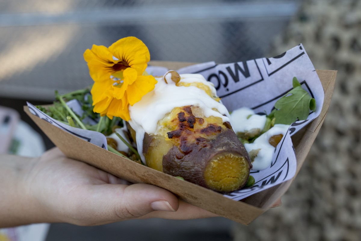 MAmasanti_Maleva_Masticar2018_022