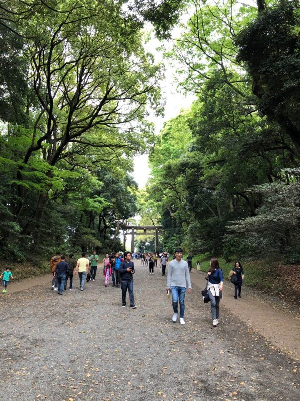 Torii Yoyogi Park