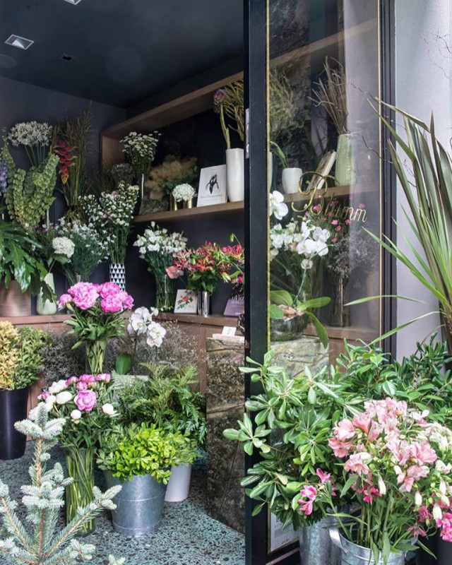 30531166_1504211719706518_1743241957460672512_n