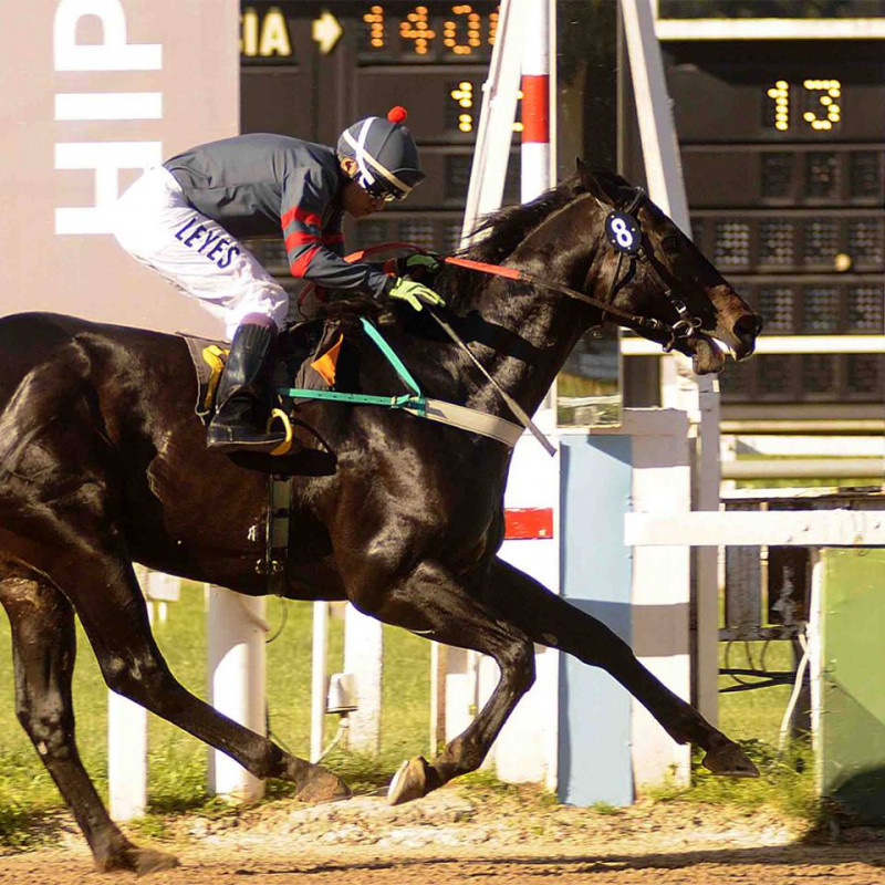 44297729_2035581399813508_3524127349060665344_n