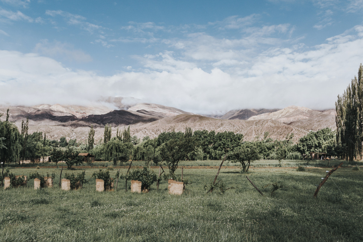 Jujuy86