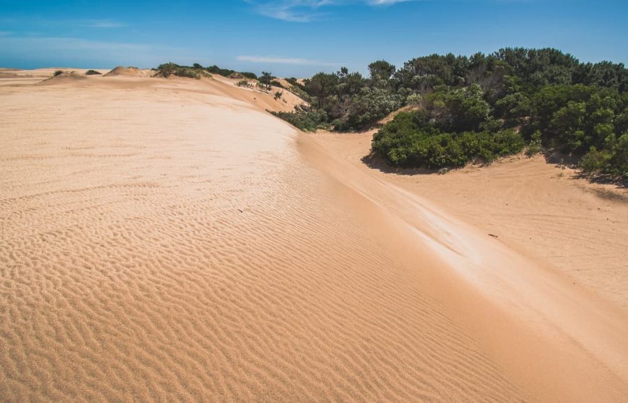 Pinamar Cinco Bellos Alojamientos Con Filosofía Propia Que